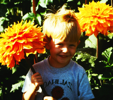 Ben Hewlett with Dahlia Hamari Gold in 1991  (Ted Collins)